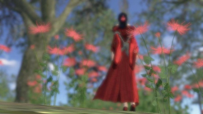 我是新手想养鱼，预算不超过200。有什么好的建议或者禁忌吗。？